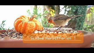 Schöne Herbstferien [upl. by Trinl]