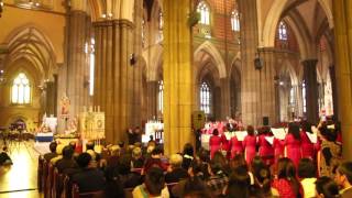 Vietnamese Martyrs Mass November 2016 St Patricks Cathedral [upl. by Oirevas]