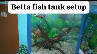 Betta Fish tank setup [upl. by Yraillih]