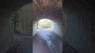 BAGGERIDGE COUNTRY PARK OLD MINING RAILWAY explore travel mining youtubeshorts youtube vlog [upl. by Michaud]