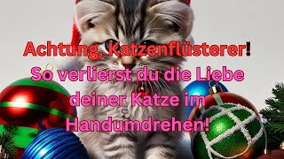 Achtung Katzenflüsterer So verlierst du die Liebe deiner Katze im Handumdrehen [upl. by Nnayelsel]