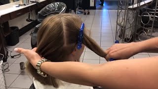 How We Section for Balayage [upl. by Akcirderf996]