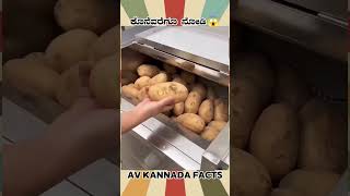 Amazing Potato Machine Fact  kannada facts karnataka amazing youtubeshorts trendingshorts [upl. by Yance]