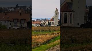 Just an autumn day bodensee youtube travelshorts Deutschland [upl. by Leonie]