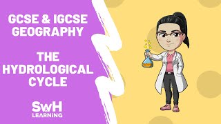 The Hydrological Cycle  GCSE amp IGCSE Geography [upl. by Raynell207]