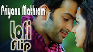 Priyanu Mathram Njan Lofi Flip  Robinhood  Malayalam lofi  Vijay yesudas [upl. by Sadie]