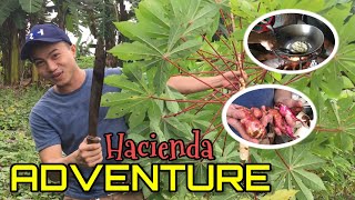 Vlog 16 Hacienda Adventure [upl. by Georgianna801]