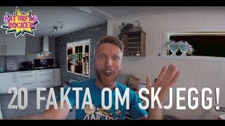 20 FAKTA OM SKJEGG [upl. by Haslett864]