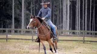 Carson James Horsemanship Clinic [upl. by Aidas987]