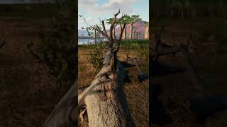 Animalia Survival Kudu Animal [upl. by Bennion]