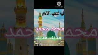 new nat muhmmd muhmmd mdeena mdeen نئ نعت ۔۔محمد محمد مدینہ مدینہ [upl. by Yeneffit]