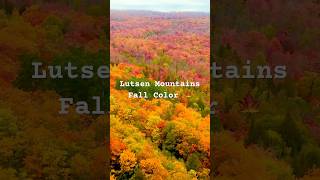 Fall Colors  Beauty  Lutsen Mountain  Minnesota  USA  Trending Nature Color Autumn🍁 [upl. by Atalanti248]