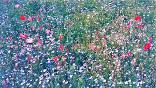 Flower garden [upl. by Aihsas]