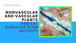 Nonvascular and Vascular Plants Habitat Survivor STEM Activity [upl. by Anilas]