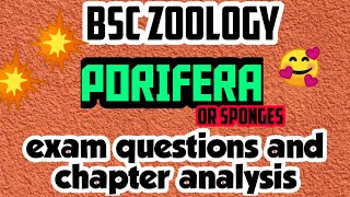 BSC ZOOLOGYPORIFERAPARAZOAFULL ANALYSISEXAM QUESTIONSIN മലയാളം [upl. by Itsim880]