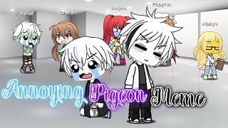 Annoying pigeon meme Undertale kids [upl. by Eilime696]