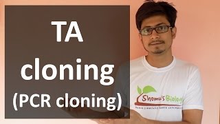 TA Cloning PCR cloning [upl. by Molahs]