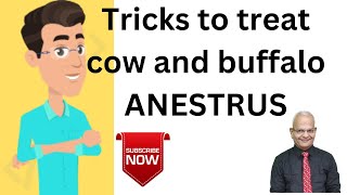 Unbelievable quotTricksquot to Treat Anestrus in Cows amp Buffaloes [upl. by Nehepts785]