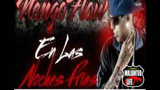 Ñengo Flow Nova y Jory  En las Noches Frias Remix Estreno 2011 [upl. by Oswin]