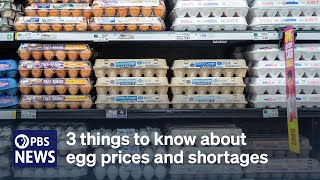 WATCH 3 things to know about egg prices and shortages [upl. by Rudolfo]