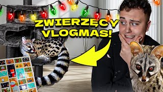 ZWIERZĘTA DOSTAJĄ PIERWSZE PREZENTY VLOGMAS ZWIERZĘCY [upl. by Oleusnoc826]