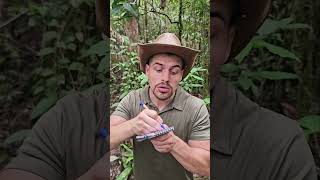 Tuto  BOWHUNTING 🏹 mentawai tribe bow traditional culture plants forest tutorial nature [upl. by Selegna]