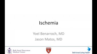 Session 3 Ischemia [upl. by Ardnuat]