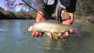 Auf Äschen im kleinen Fluss  Fliegenfischen in Österreich bei etheonTV [upl. by Herod]