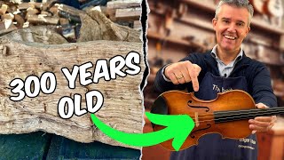 This Violin Is Made from 300YearOld Wood [upl. by Roseline714]