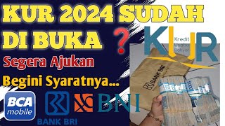 RESMI  PENYALURAN KUR 2024 SUDAH DIBUKA  Begini persyaratannya dan cara daftarnya ❗ [upl. by Barcroft]