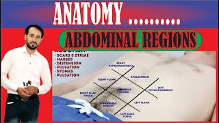 What are 9 Regions of Abdomen  Contents of Abdominal Regions  Made so Simple  Lecture1 [upl. by Rhynd582]