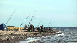 Fehmarn    Püttsee    Angler am Nachmittag [upl. by Chao104]