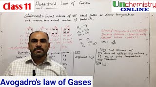 Avogadros law of gases Gaseous state Chemistry class 11 chapter 3 [upl. by Cristy]