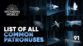 All Patronuses on Magical Mystery Pottermore  Common List  Hogwarts Legacy [upl. by Gaston]