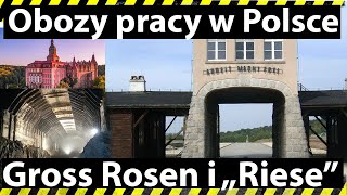 Obozy pracy przymusowej w Polsce Gross Rosen i quotProjekt Riesequot [upl. by Enyrehtac]