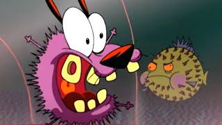 Fishy Business  Courage the Cowardly Dog  Cartoon Network Asia [upl. by Shyamal]