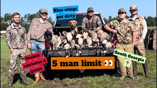 Goose Hunting in South Georgia [upl. by Smitt]