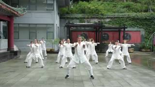 Wudang Baduanjin [upl. by Chill]