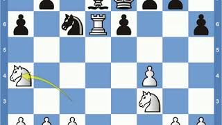 Match of the Century Fischer vs Spassky Game 20 [upl. by Adnamra379]