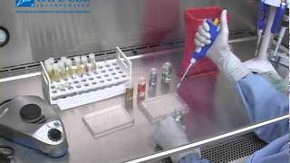 Fungitell® Assay Kit Training Video part 2 [upl. by Mandelbaum]