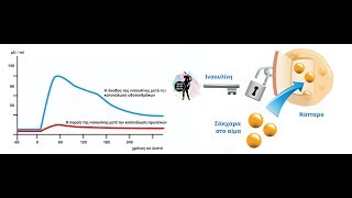 Ινσουλίνη και κετογονική δίαιτα [upl. by Abekam541]