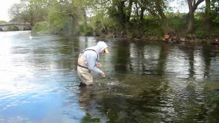 Fly Fishing on Irelands River Tar [upl. by Conway]