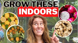 Unlock the Secrets Growing Four Tropical Fruits INDOORS [upl. by Zadoc61]