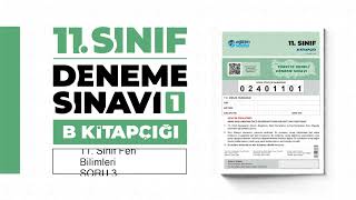 EĞİTİM VADİSİ DENEME 1 B KİTAPÇIĞI 11 Sınıf Fen Bilimleri Soru Çözümleri [upl. by Llekcm]