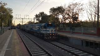 Ferrosur Roca Tren 494 por estación Luis Guillon [upl. by Charissa]