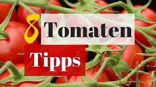 8 Tipps für eine große Tomatenernte  Erfolgreich im Hochbeet Tomaten ziehen [upl. by Santini427]