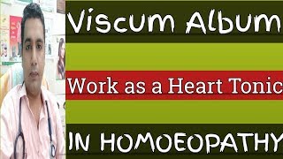 Viscum Album  Homoeopathic Medicine  For Low Blood Pressure  HeartTonic [upl. by Jem]