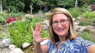 June 2024 Backyard Garden Tour Featuring Waterfall Oasis [upl. by Reynolds]