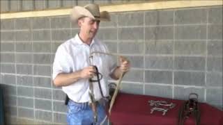 Understanding Horse Bits A Complete Guide [upl. by Aoh]