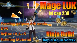 Toram Online  Mage Farm Build lvl cap 230  Farming Golpom 6th [upl. by Bram]